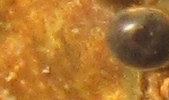 Raetsel 20120227 1a