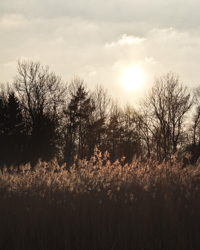 RAF, Belichtungskorrektur -1, dann in Lightroom von oben einen Verlaufsfilter mit nochmals -1,6 gesetzt...