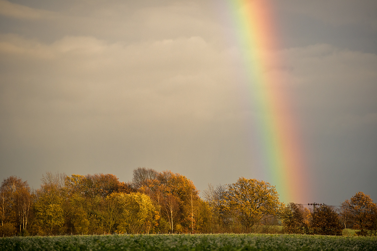 Rainbow 2