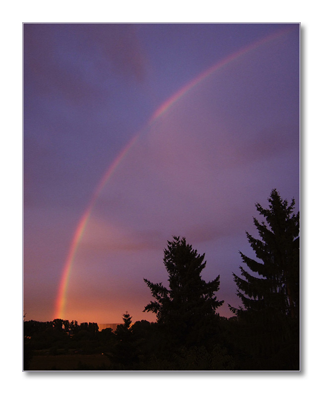 Rainbow w