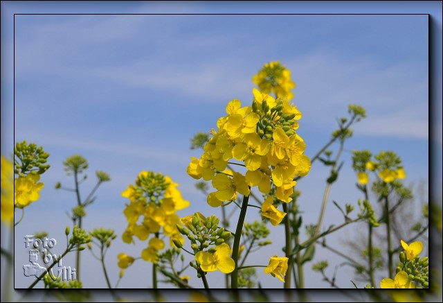 Raps - April 2012 -DSC 3000
