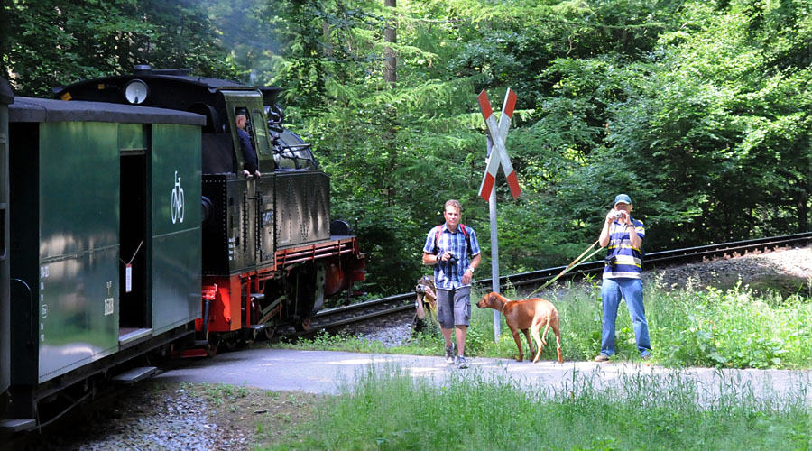 Rasender Roland, Rügen