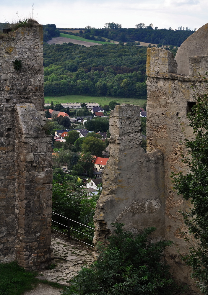 Ratebild_DSC_9206_nff.jpg