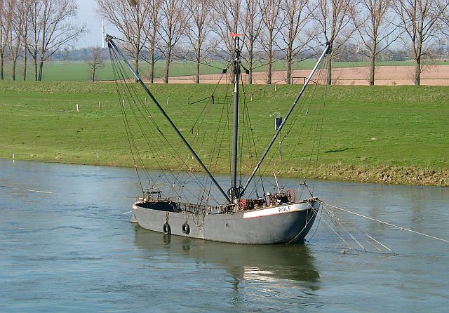ratemal6