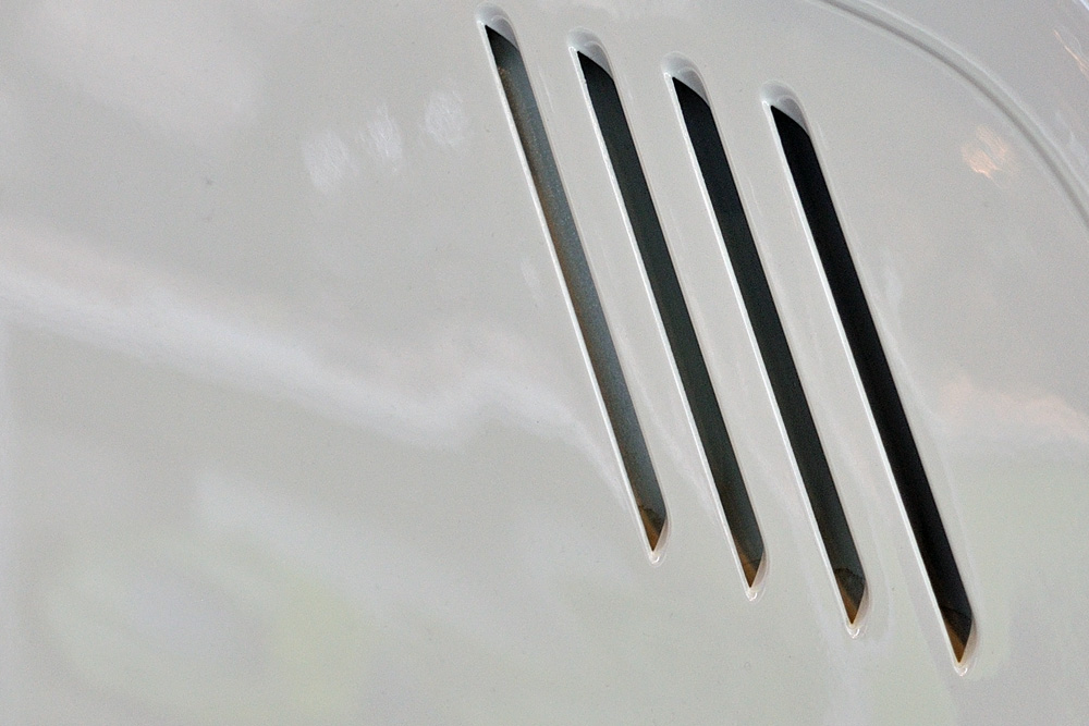 Ratrebild01a [DSC_3398]