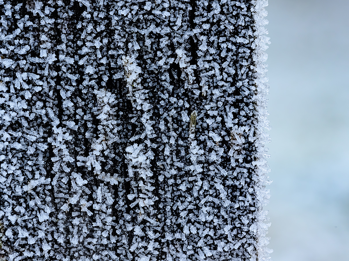 Raureif.jpg