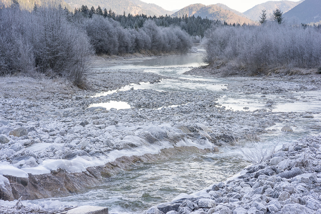 Raureif obere Isar