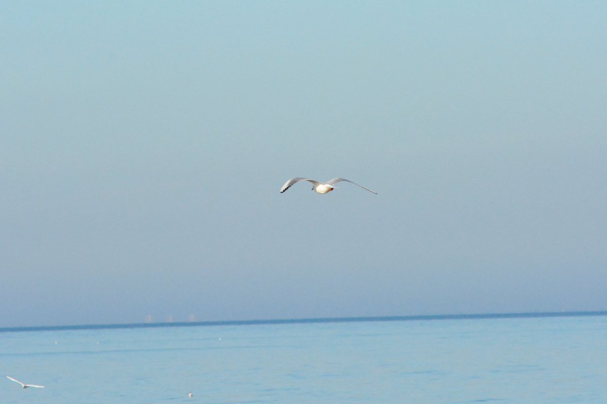 Raus auf die Ostsee.jpg