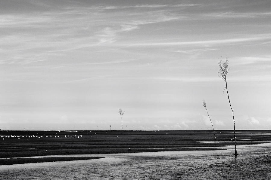Raw00242 sw 1