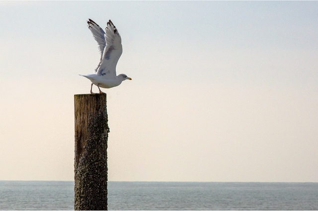 Ready for take off