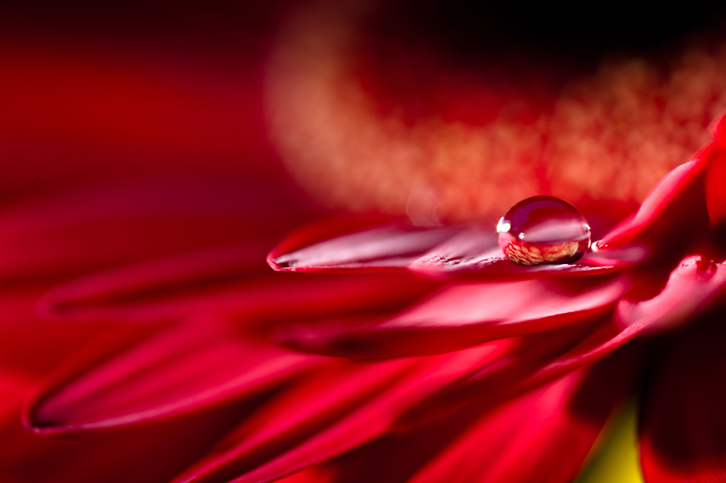 red pearl