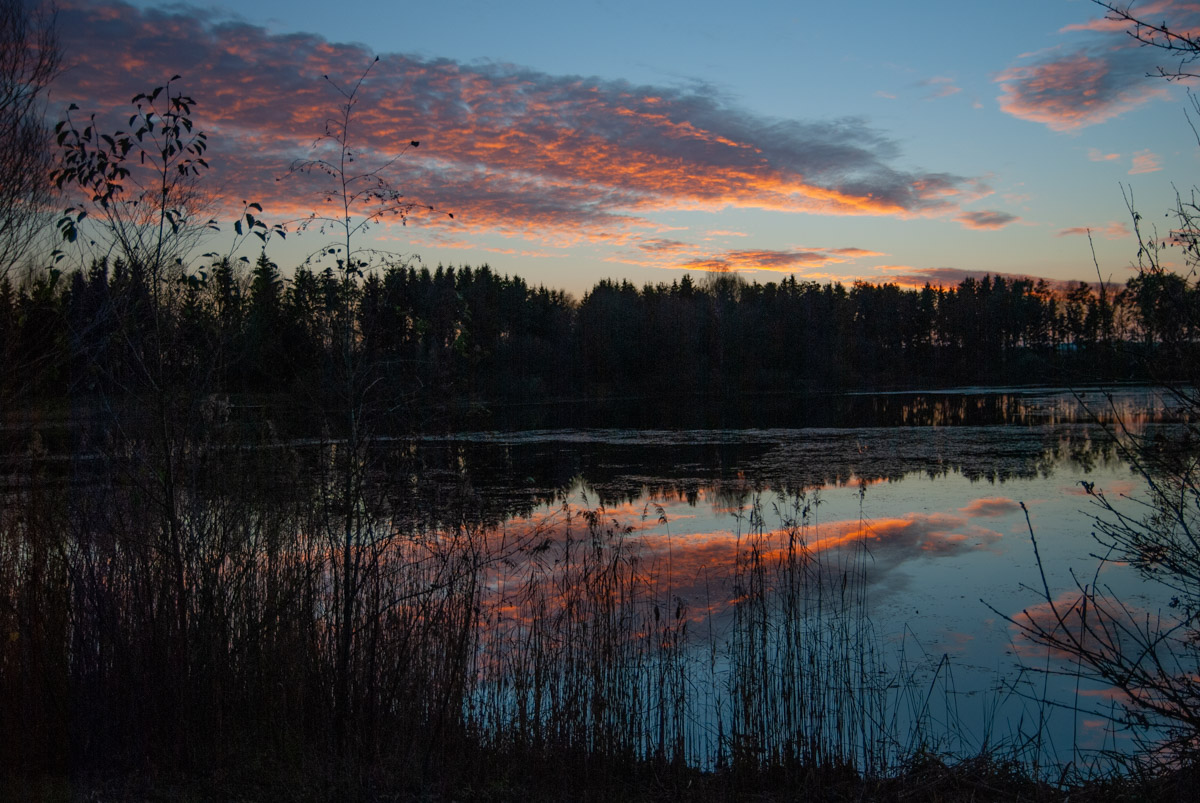 Reflections