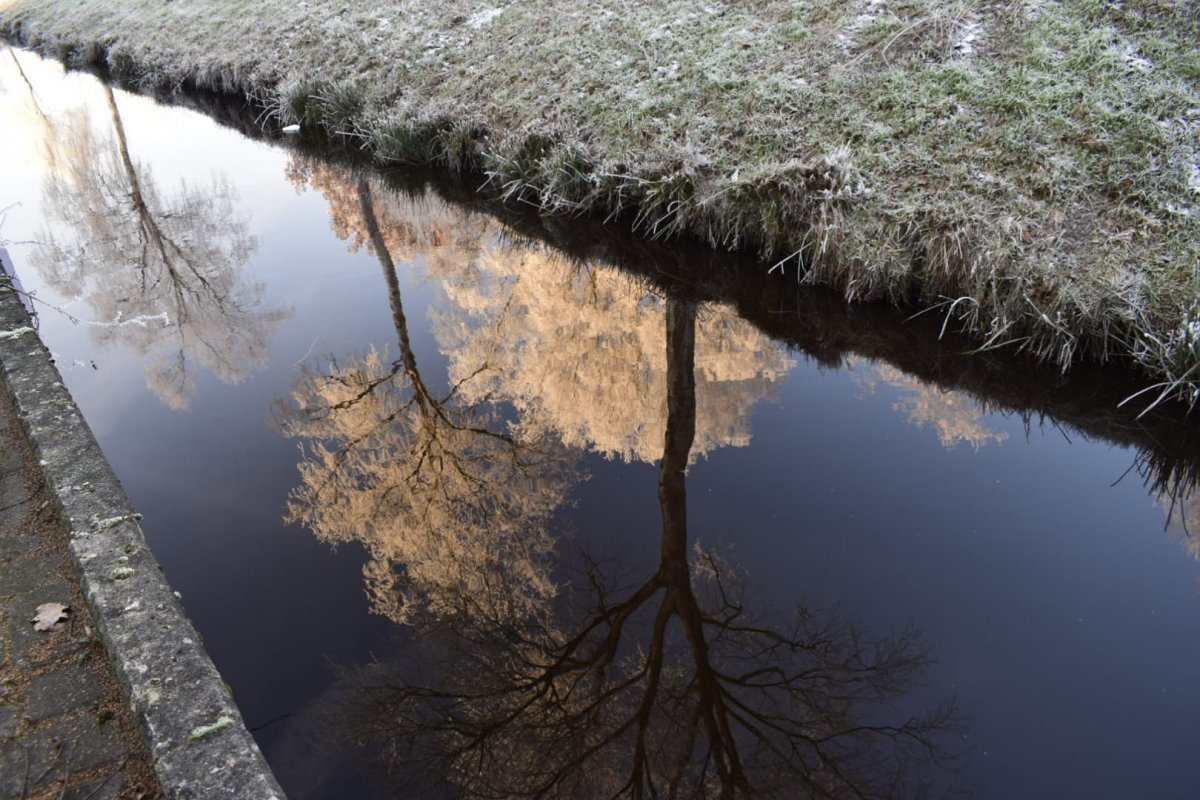 Reflexion 3.jpg