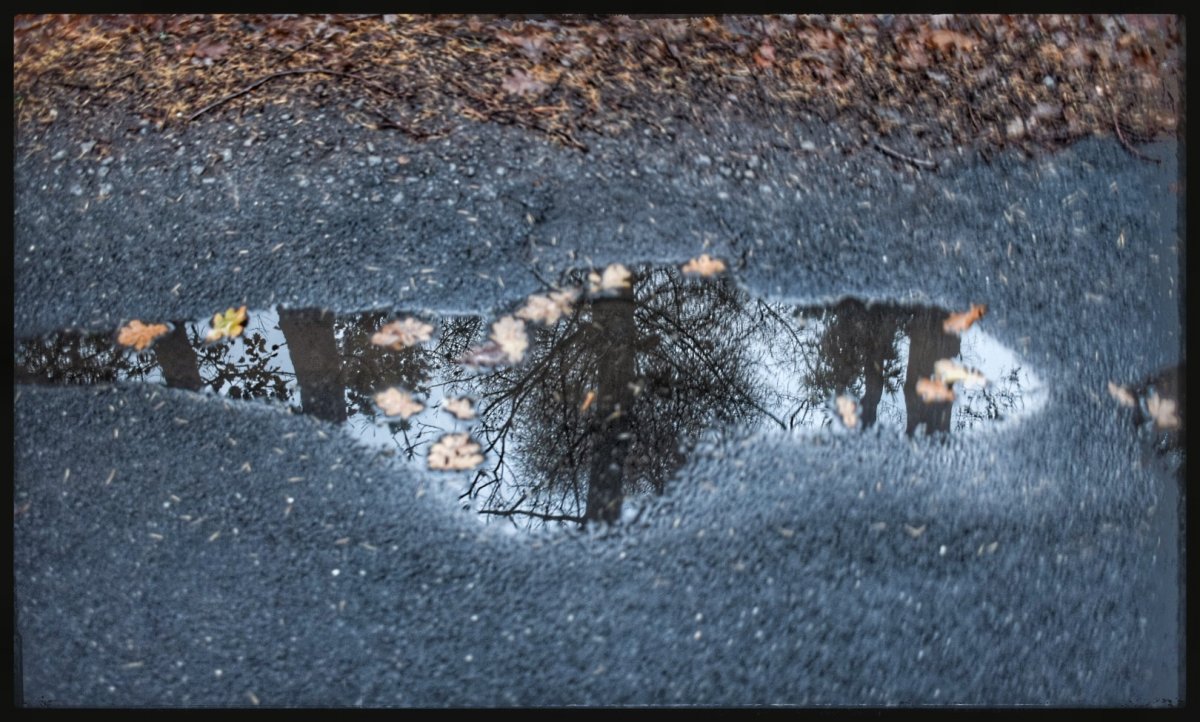 Reflexion 4.jpg