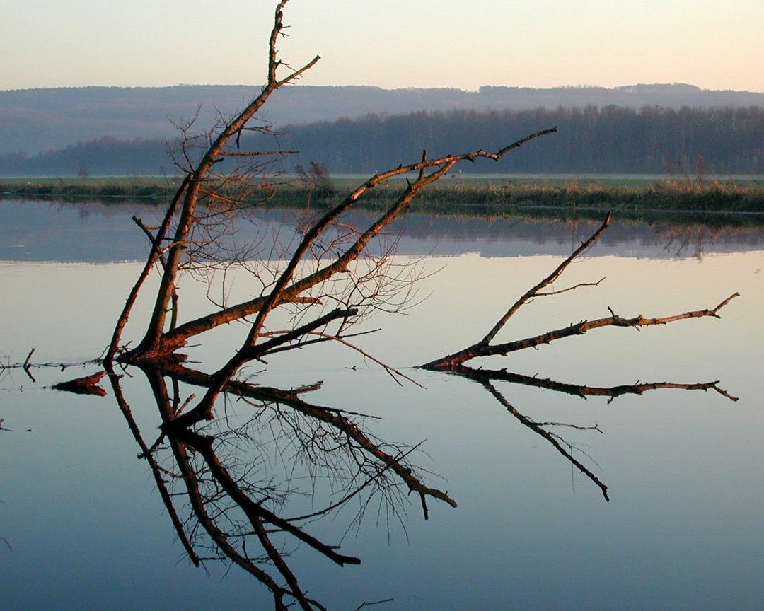 Reflexion Ruhr