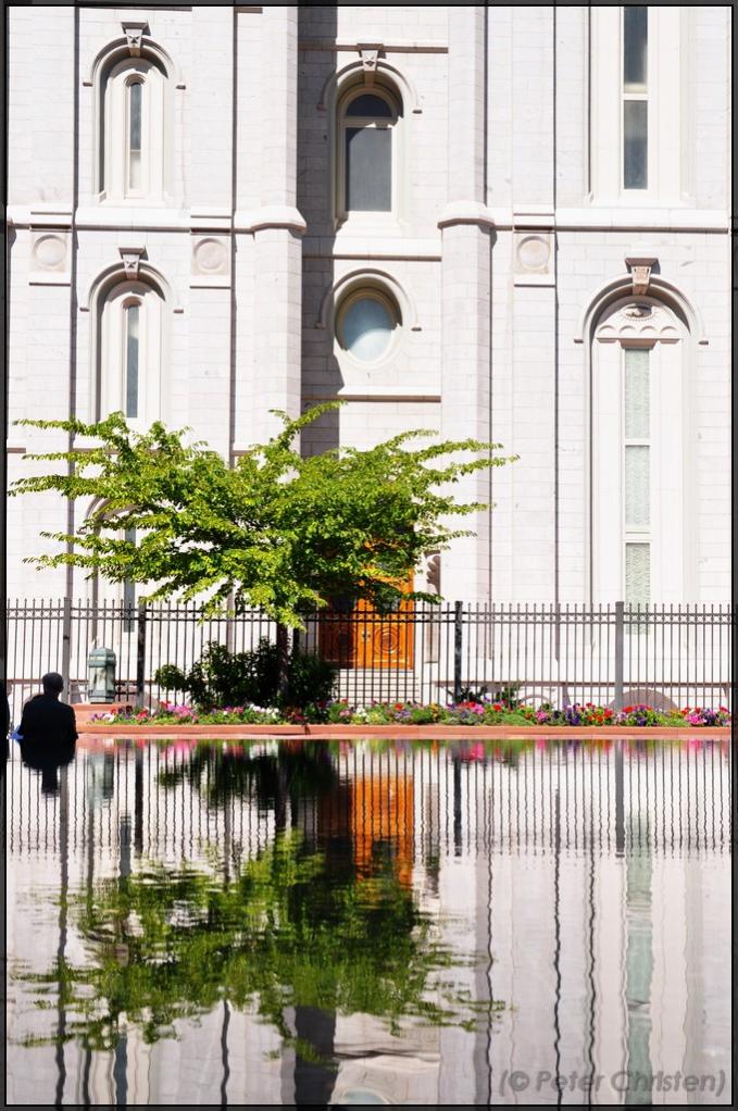 Reflexion