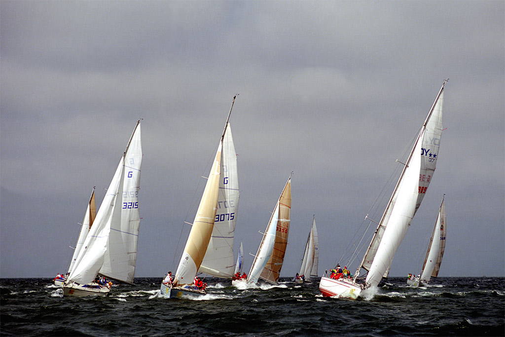 Regatta 91 roh w