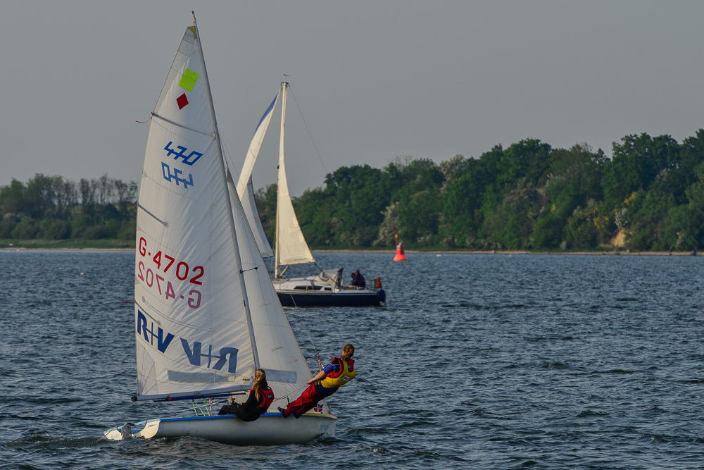 Regatta
