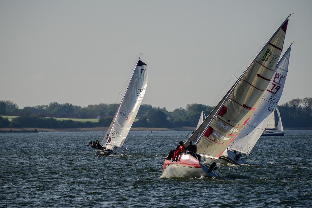 Regatta