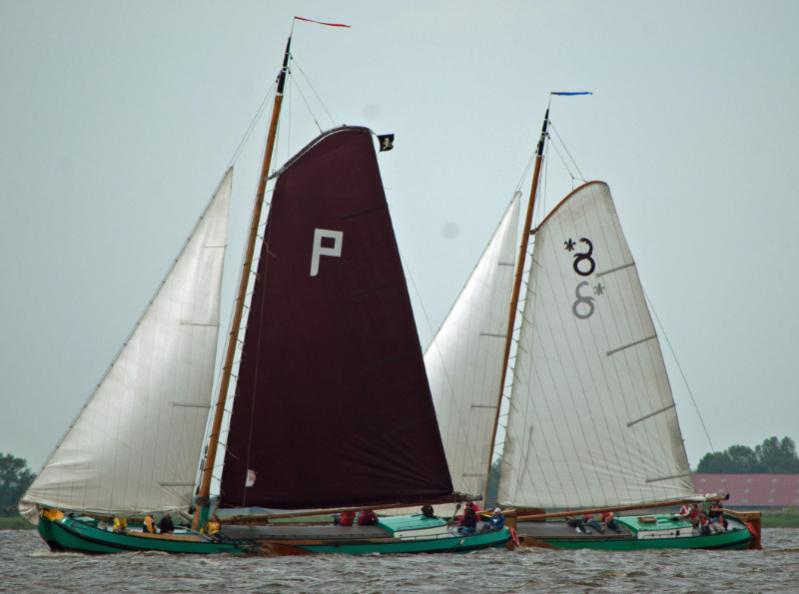 Regatta