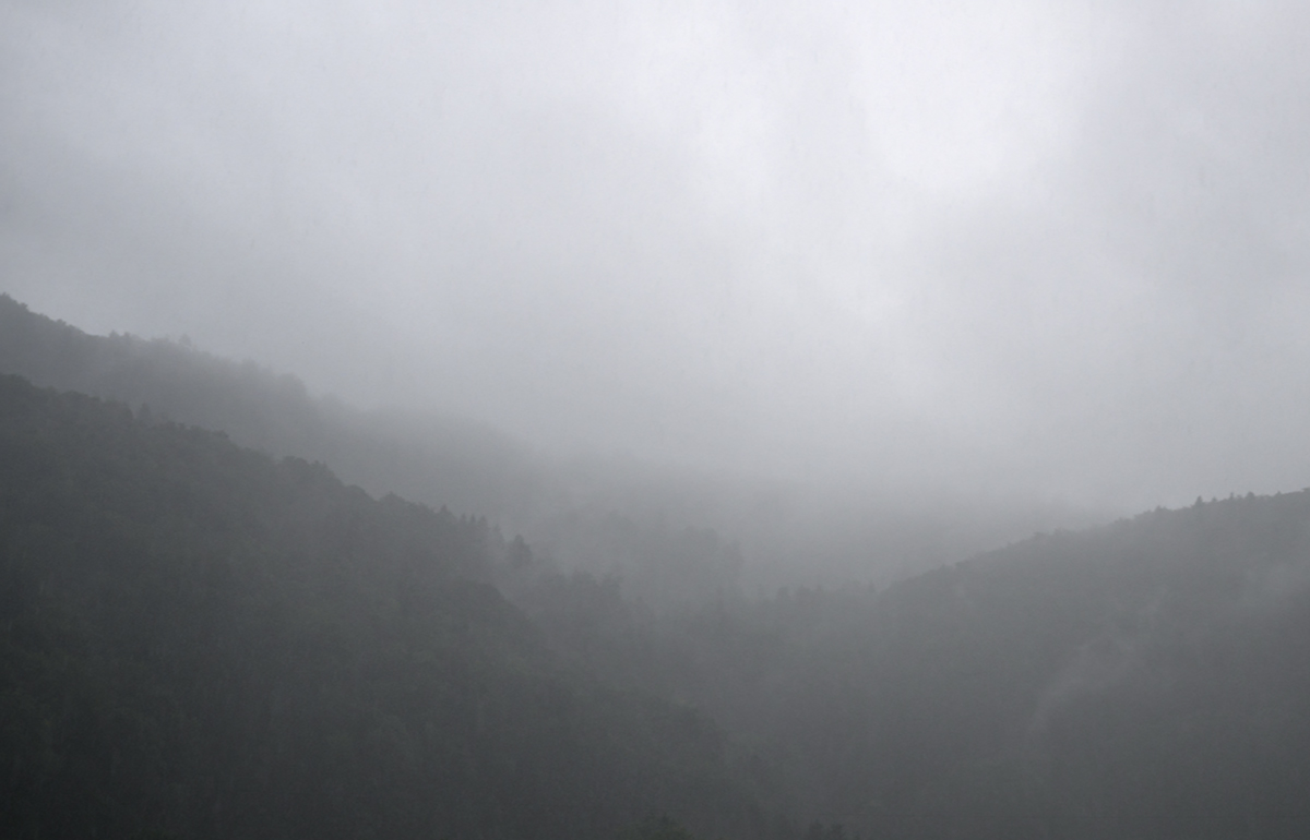 Regen.jpg