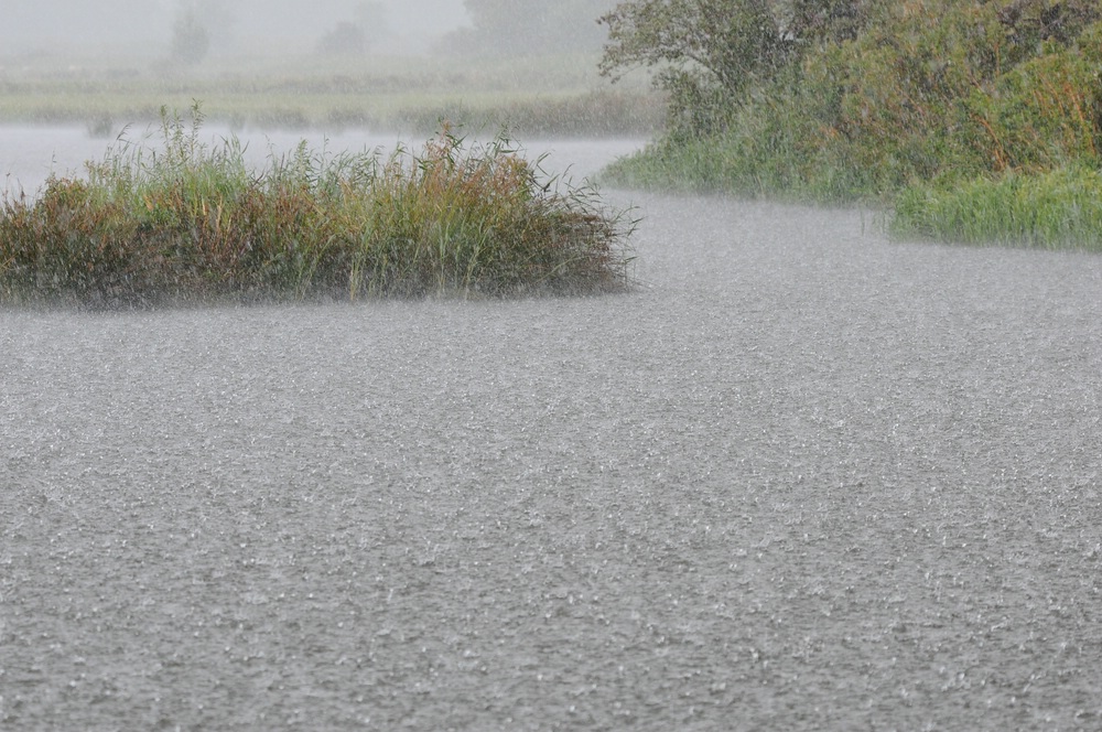 Regen
