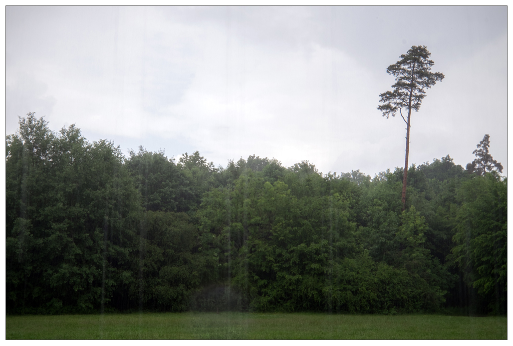 Regen