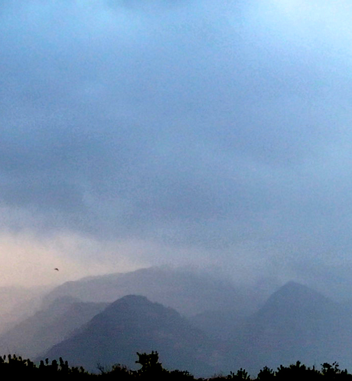 regen