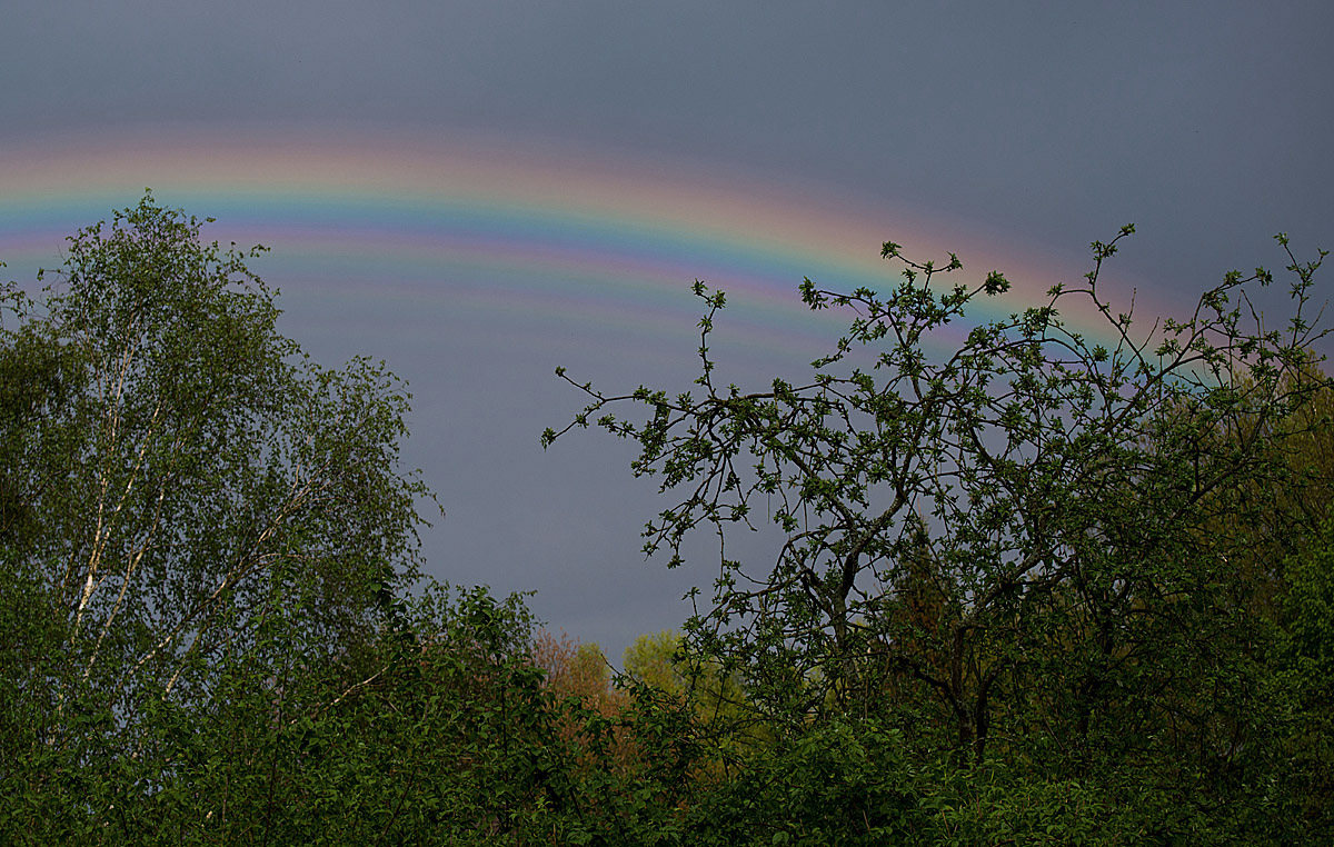 Regenbogen 3