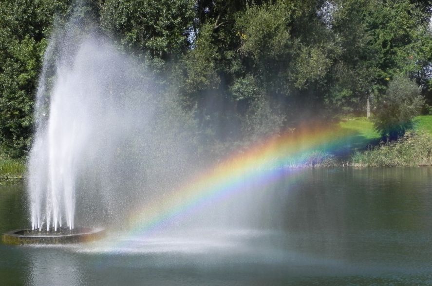 Regenbogen, Groov in Köln Zündorf