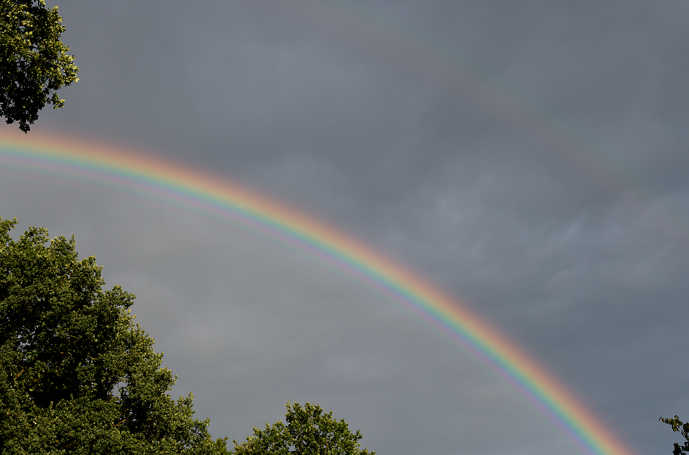 Regenbogen Nikon.jpg
