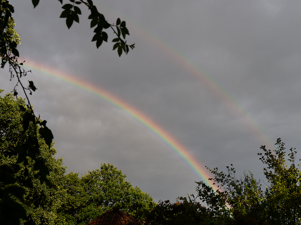 Regenbogen Olympus.jpg