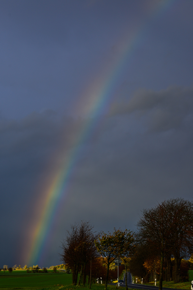 Regenbogen