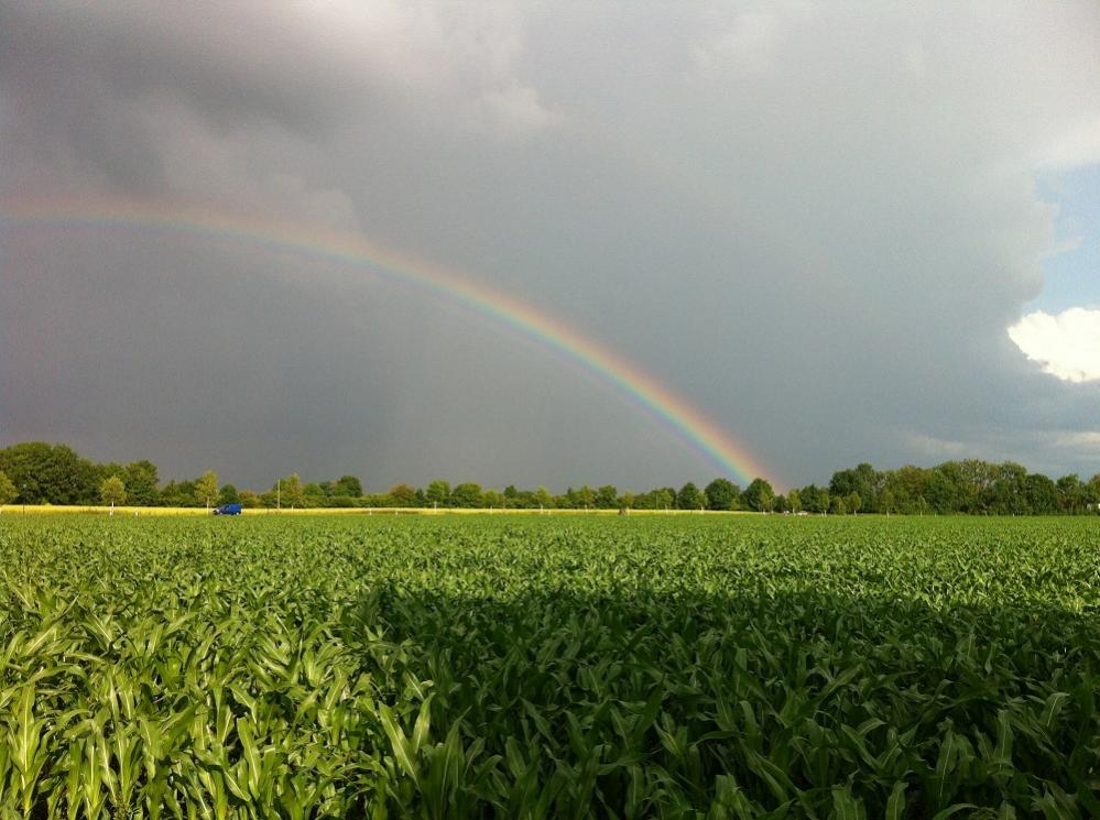 Regenbogen