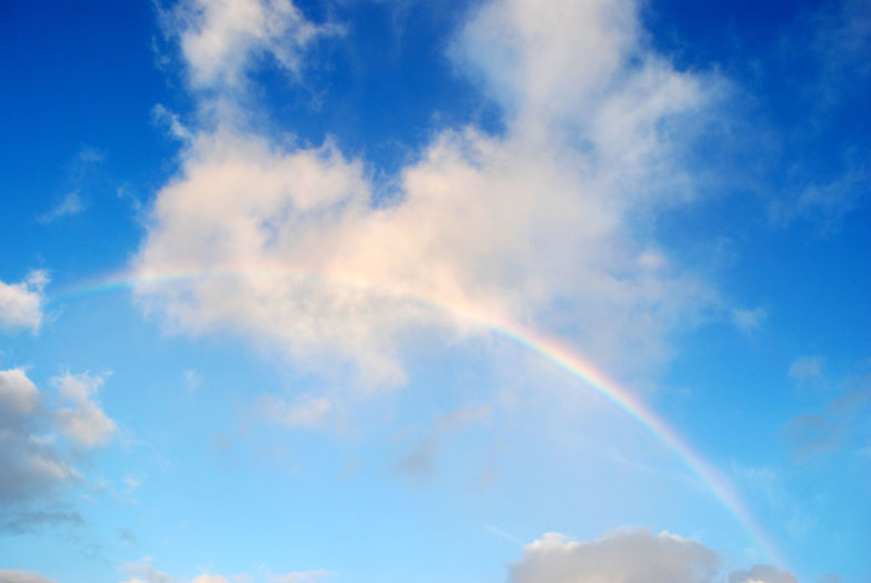 Regenbogen