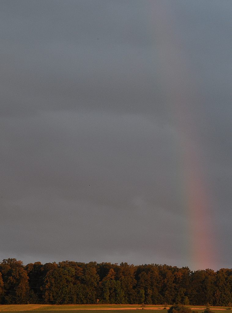 Regenbogen