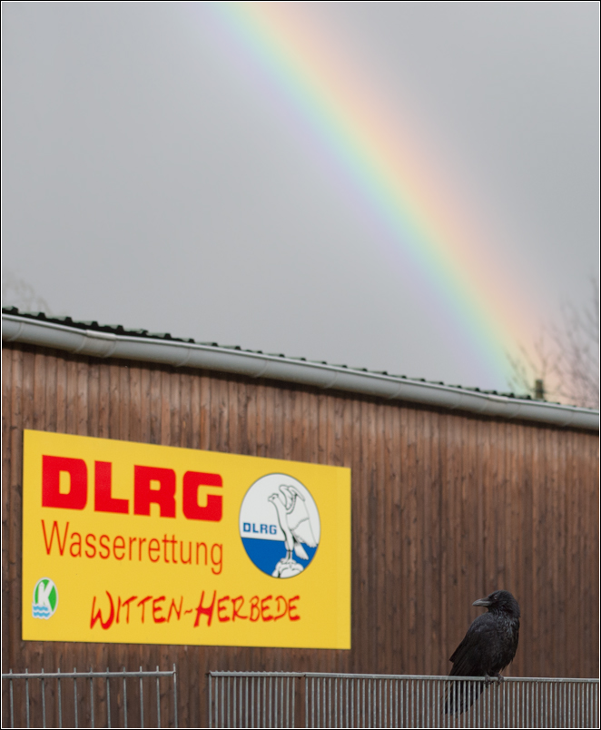 Regenbogenrettungsvogel