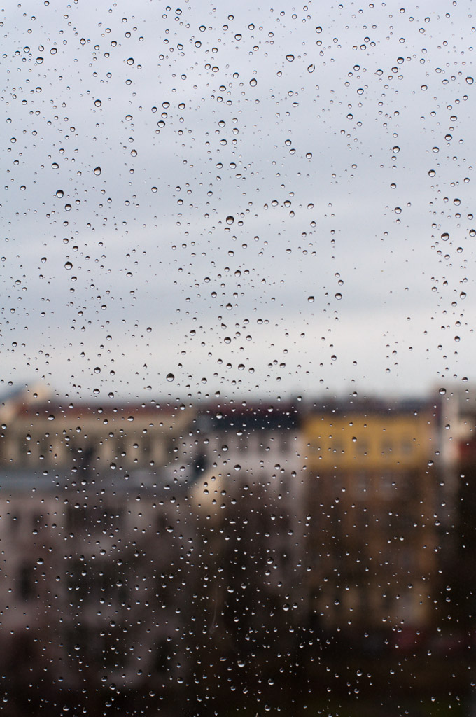 Regenmorgen II