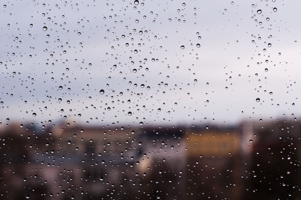 Regenmorgen
