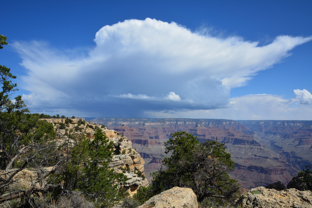 Regenschauer auf der Nordseite des Grand Canyon