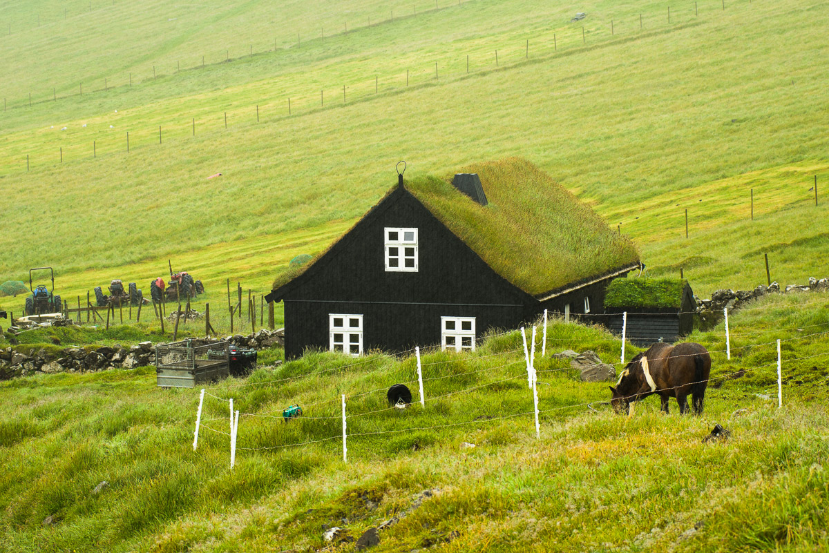 Regentag