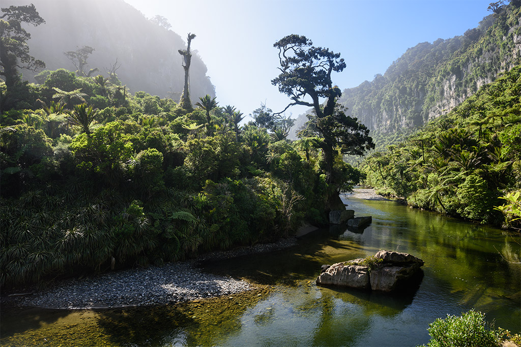 Regenwald Tal bei Punakaiki klein