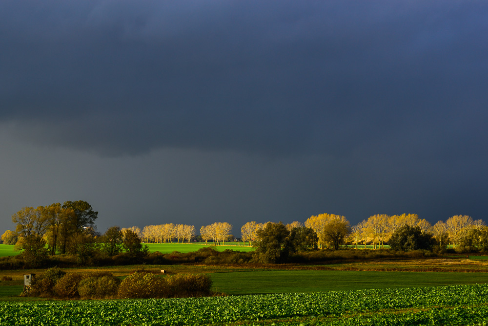Regenwetter 1