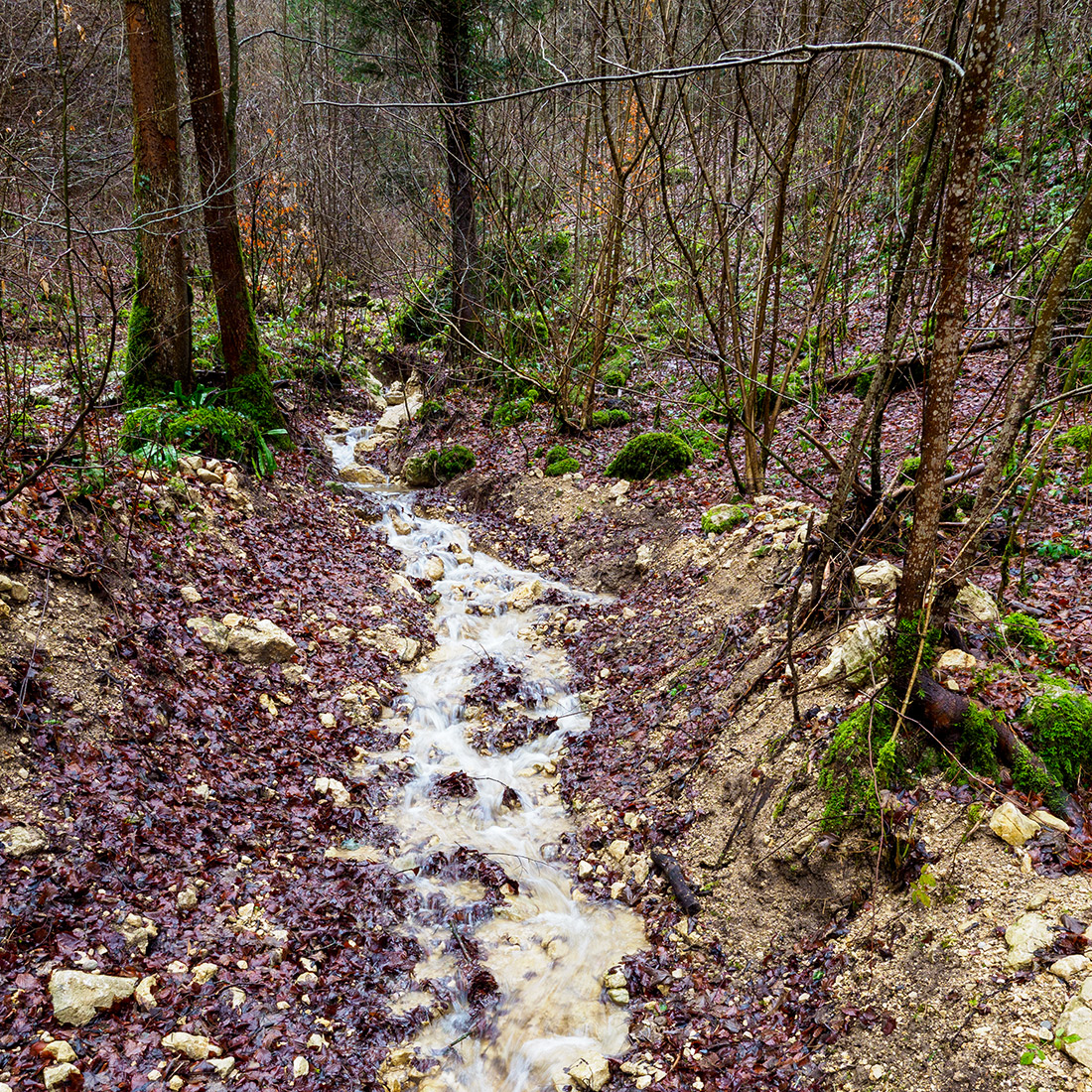 Regenwetter.jpg