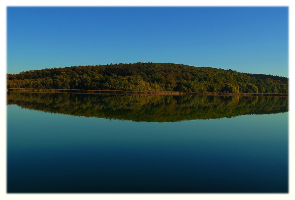 reihersee