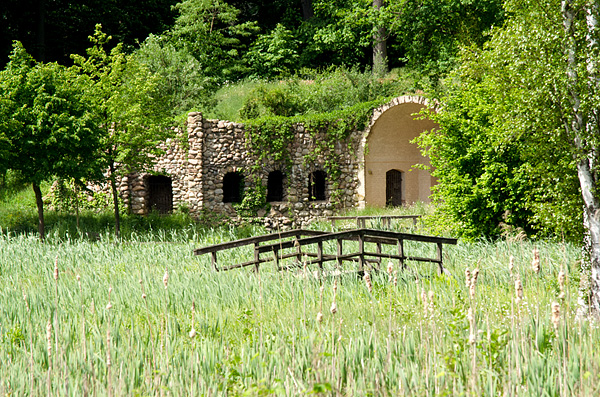 Reinsberg 20120527 041
