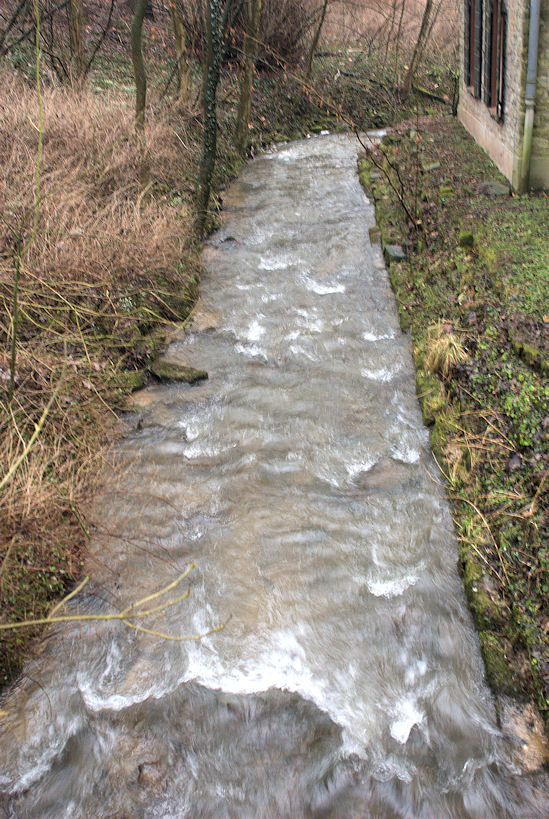 reissend