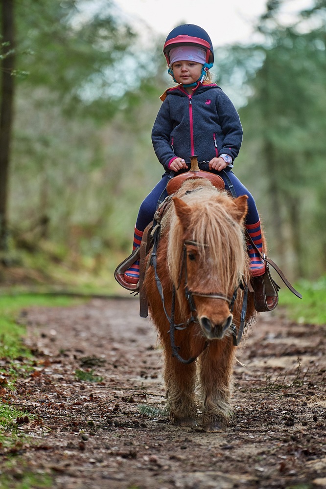 Reiten.jpg