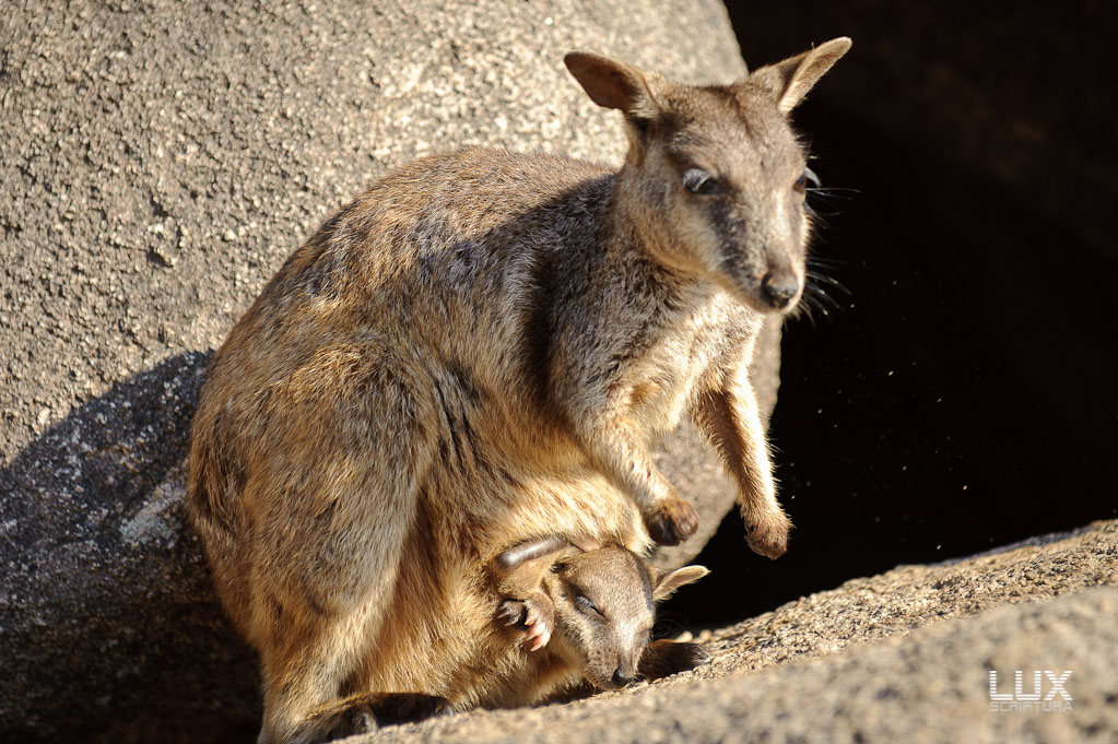 Reportage Australien 30