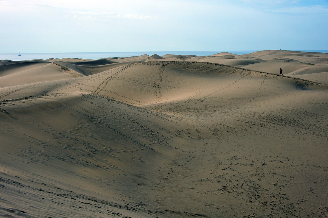 Reserva Natural Especial de Las Dunas.jpg
